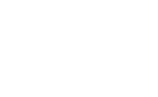 The Secret Service